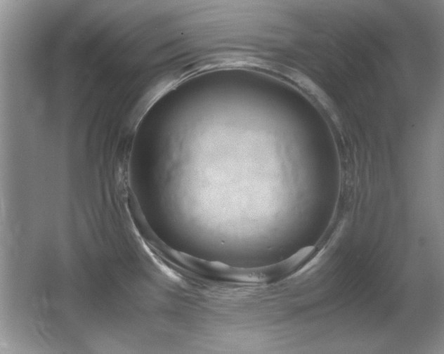 X0000066001385200603061312