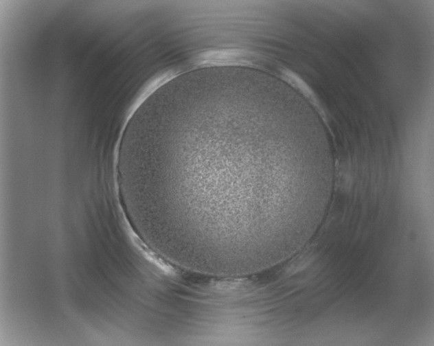 X0000066001386200603061312