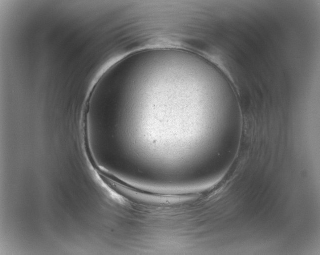 X0000066001387200603061312