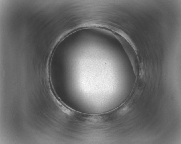 X0000066001388200603061312