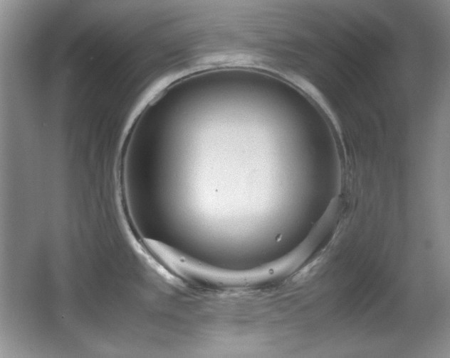 X0000066001389200603061312