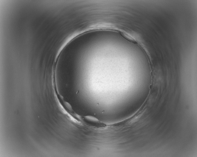 X0000066001390200603061312