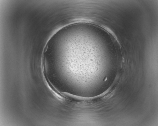 X0000066001391200603061312