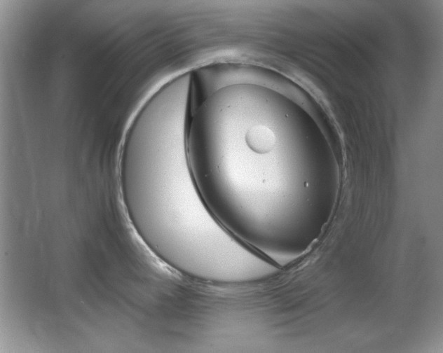 X0000066001392200603061312