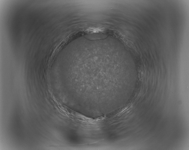 X0000066001393200603061311