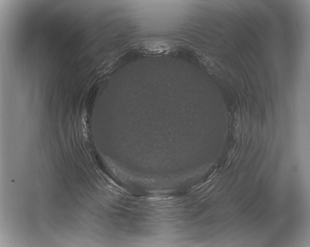 X0000066001394200603061311