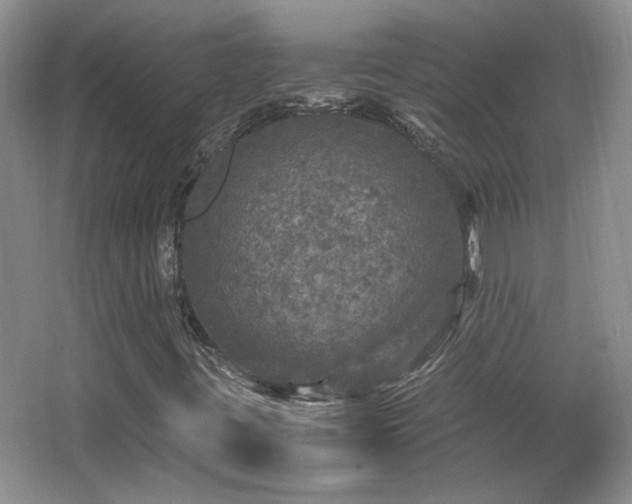 X0000066001395200603061311