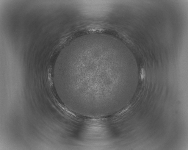 X0000066001396200603061311