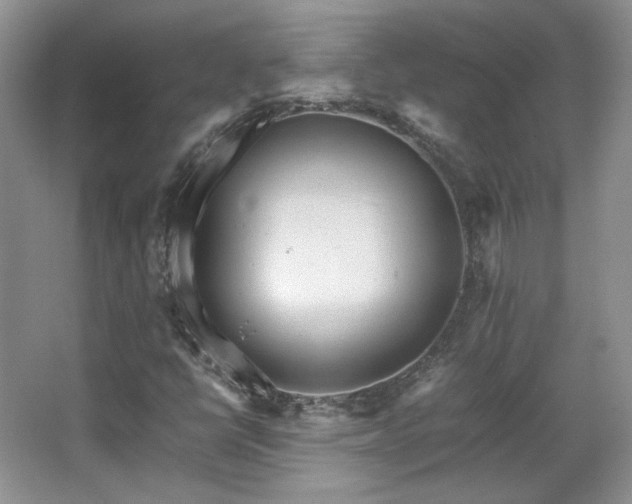 X0000066001398200603061311