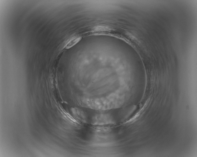 X0000066001401200603061311