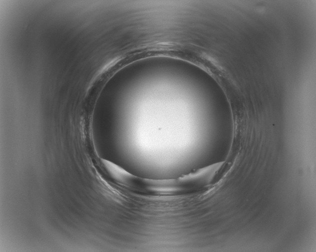 X0000066001402200603061311