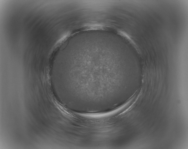 X0000066001403200603061311