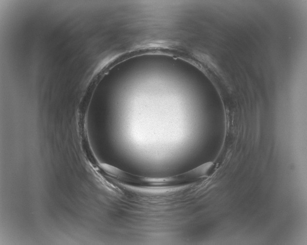 X0000066001404200603061311