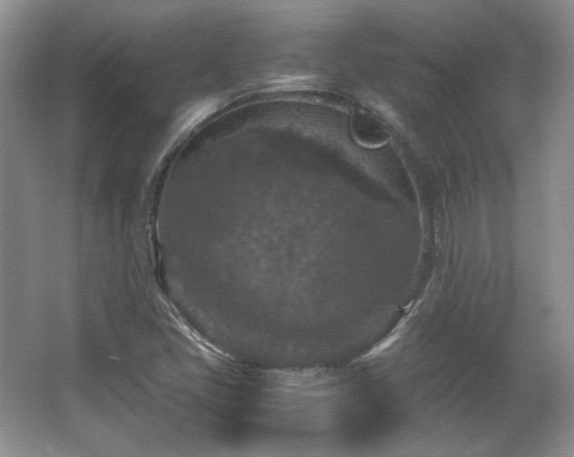 X0000066001405200603061311