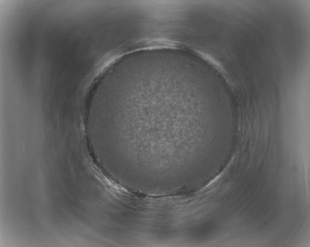 X0000066001407200603061311