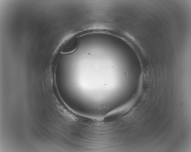 X0000066001408200603061311