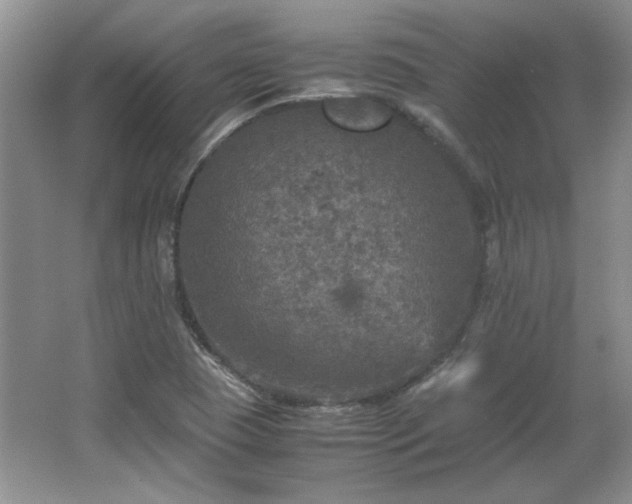 X0000066001409200603061311