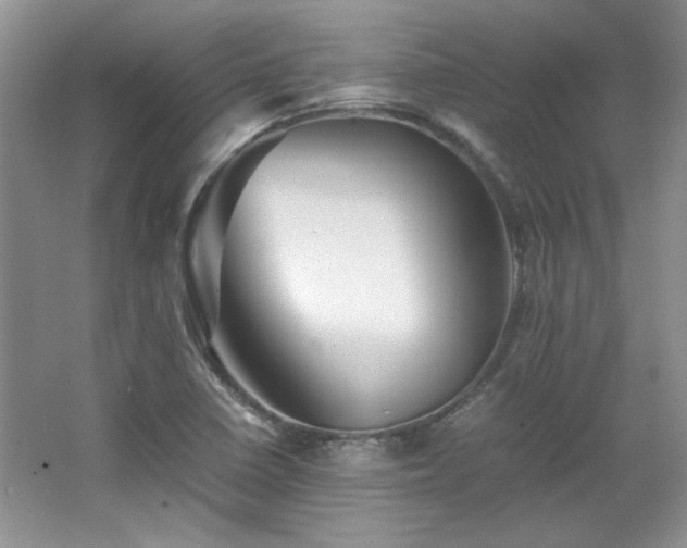 X0000066001410200603061311