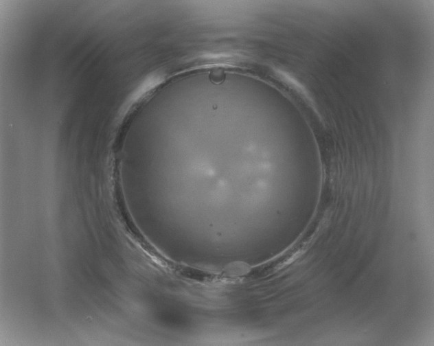 X0000066001411200603061311