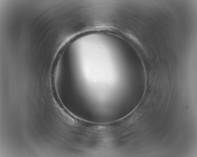 X0000066001412200603061311