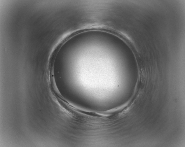 X0000066001414200603061311