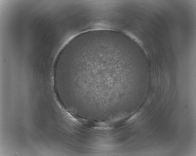 X0000066001415200603061311