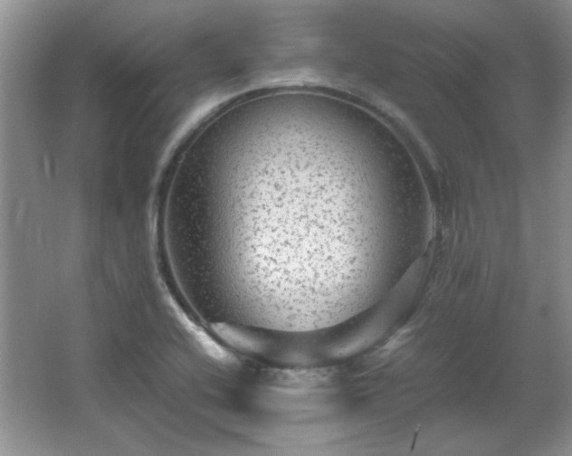 X0000066001416200603061311