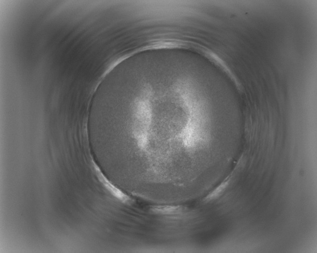 X0000066001417200603061311