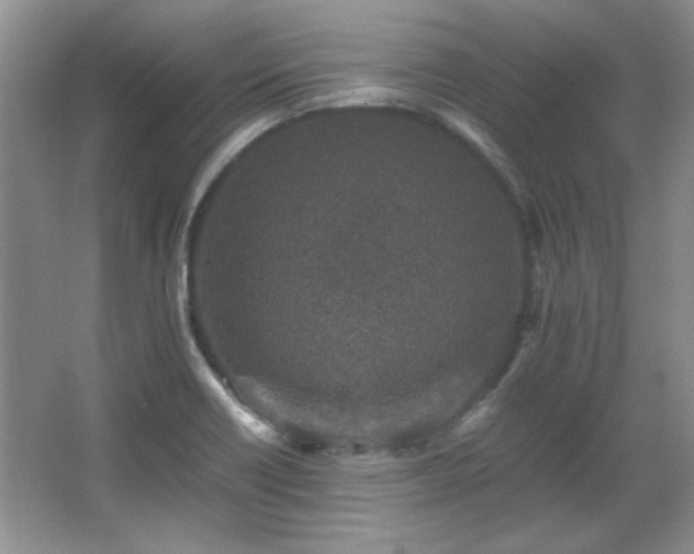 X0000066001418200603061311