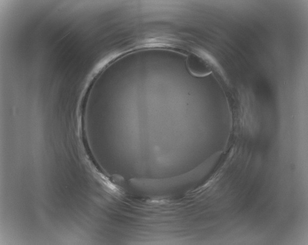 X0000066001419200603061311