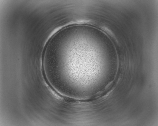 X0000066001420200603061311