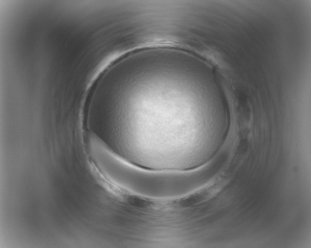 X0000066001422200603061312