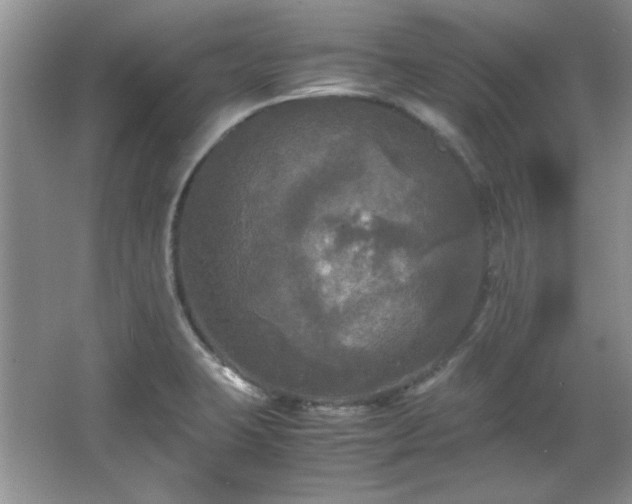 X0000066001423200603061312