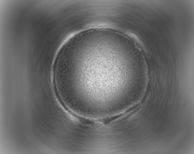 X0000066001424200603061312