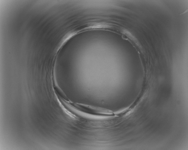 X0000066001425200603061312