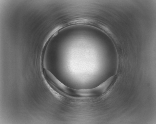 X0000066001426200603061312