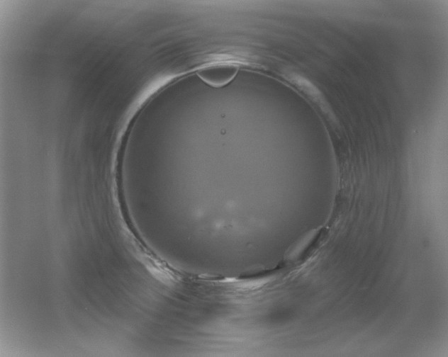 X0000066001427200603061312