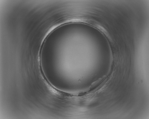 X0000066001428200603061312