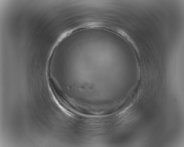 X0000066001429200603061312