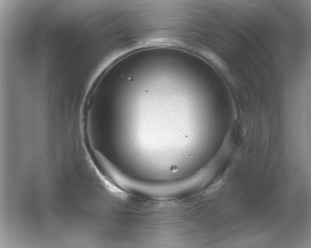 X0000066001430200603061312