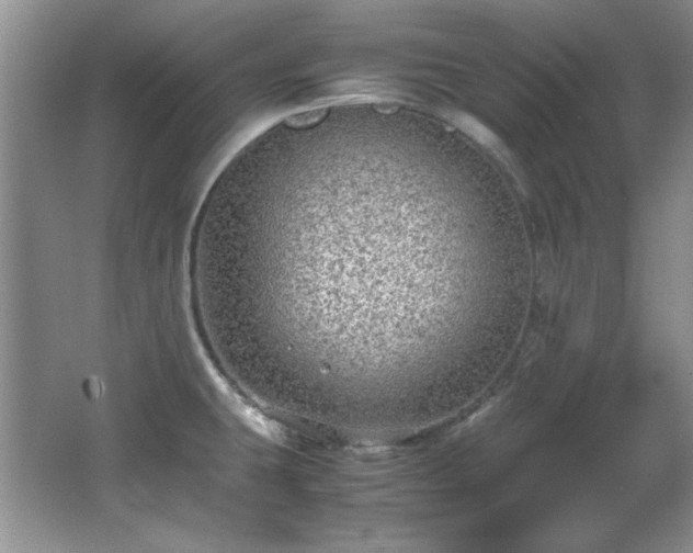 X0000066001431200603061312