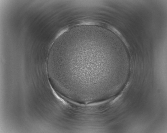 X0000066001433200603061312