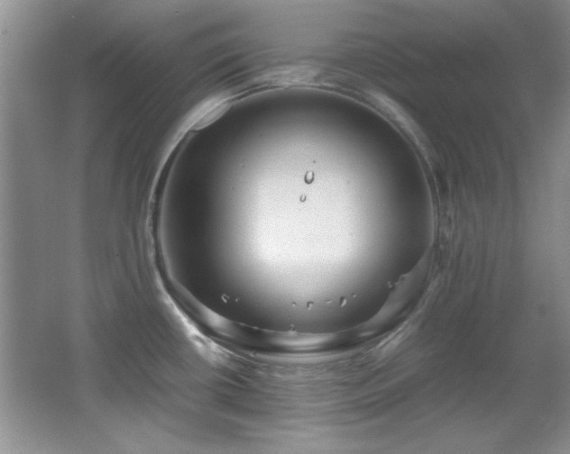 X0000066001434200603061312