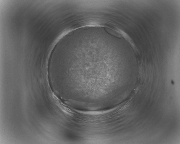 X0000066001435200603061312