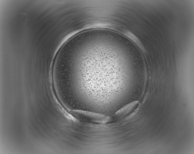 X0000066001436200603061312