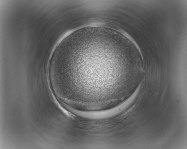 X0000066001437200603061312