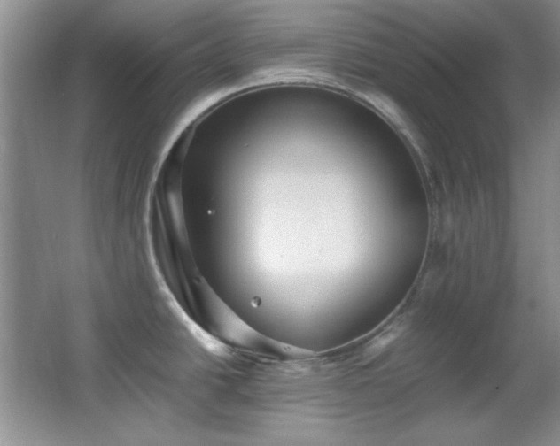 X0000066001438200603061312