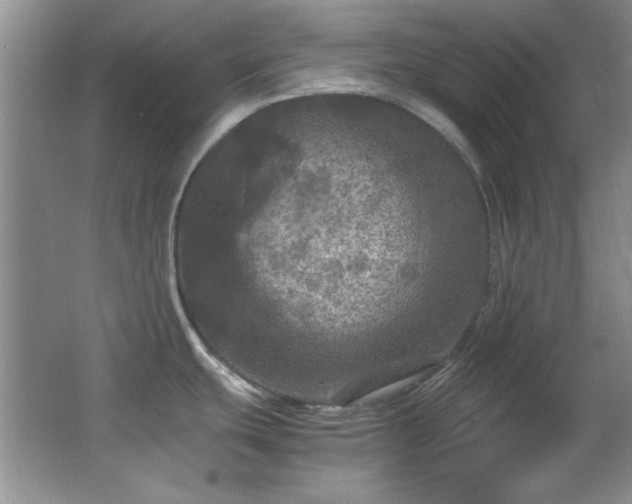 X0000066001439200603061312