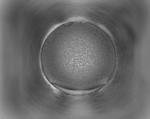 X0000066001440200603061312