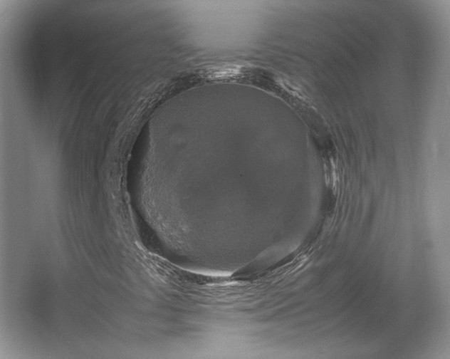 X0000066001441200603061311